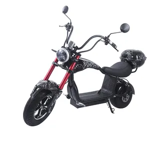 e电动自行车1000w套装/电动自行车印度价格/碳纤维电动自行车