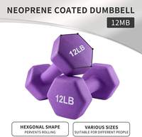 Haltères hexagonaux en caoutchouc pour la salle de sport à domicile, logo personnalisé, équipement de musculation, 1 kg, 5 kg, homme, femme, rose