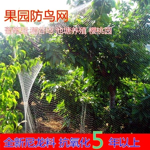 Malla Protectora Chengye para Árboles Frutales y Huertos, Malla de PE para Protección de Jardines, Malla Aérea para Bayas de Goji, Cerezas y Uvas - Product Image 4