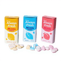 Produk penjualan terbaik OEM Label pribadi tablet permen Mint manis fokus buah rasa bebas gula Mint permen keras