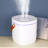 Humidificateur à brume fraîche silencieux de 3 L avec veilleuse et diffuseur LED, port USB-C pour la maison, la voiture et l'extérieur