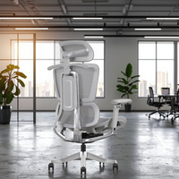 Chaise de bureau exécutive ergonomique moderne en maille, réglable, avec soutien lombaire et accoudoirs, vente en gros, usine de Foshan
