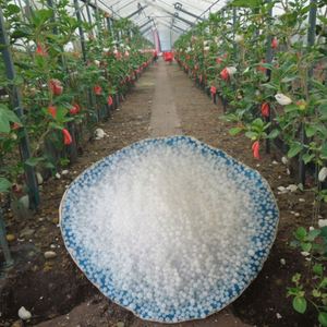 Milieu de particules d'urée d'<span class=keywords><strong>azote</strong></span> 0.85 agricole 46%-2.8mm Emballage de sac prilled <span class=keywords><strong>liquide</strong></span> de revêtement de <span class=keywords><strong>soufre</strong></span> à l'état cristallin granulaire - Product Image 5