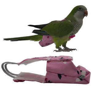 Pet Bird Diaper Merde Poche pour Perroquets Perruches Perruches Cockatiel Tourtereaux Nappy Mignon Urine Humide Costume Oiseaux Couche Vol Costume - Product Image 5