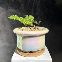 Pot de fleurs pour plantes succulentes, irisé nacré, électroplaqué, éblouissant, personnalisé, avec visière fraîche et respirante