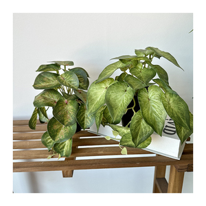 QYY, nuevo producto, planta Artificial de rábano verde con maceta de plástico, decoraciones de escritorio para el hogar para Navidad, graduación, adornos de Año Nuevo - Product Image 5