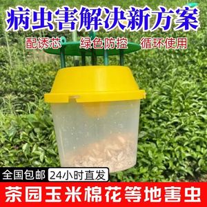 Fly Traps Insect Trap For Flies Outdoor Lawn Portable Non-toxic Rectangle Shape - Product Image 4