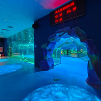 Aquarium en acrylique pour parc marin, panneau sur mesure de grande taille