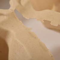 Sous-verre jetable en pulpe de bambou biodégradable de qualité alimentaire, écologique, épaissi, imperméable, à quatre compartiments, détachable, pour tasses à café
