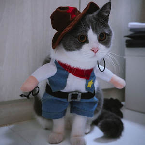 Jxanry Ins Populaire Kleding Voor Huisdieren Hond Grappige Cosplay Kleding Festival Met Honden-En Kattenjas - Product Image 6