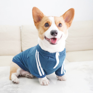 Sudadera deportiva para perros, color rojo rosa y azul, ropa para mascotas para todas las estaciones, para perros pequeños como Corgis y Bichons - Product Image 4