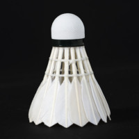 Volants de badminton professionnels à plumes d'oie, très demandés, pour joueurs de niveau avancé en club