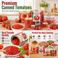 Ketchup en conserve de marque privée d'usine, pur à 100% et à haute teneur en Brix (28%), en bouteilles et en boîtes pour le marché ghanéen, 70g*50 cartons