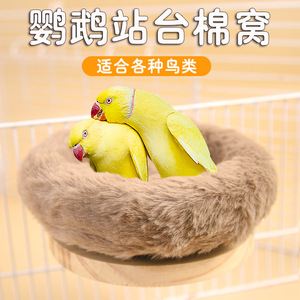 Plateforme de repos en bois massif Crown Asia pour oiseaux, utilisation printemps-été - Product Image 3