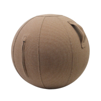 Ballon de yoga de 65 cm et 75 cm avec housse pour la maison et la salle de sport, ballon de stabilité anti-éclatement pour l'exercice, l'équilibre, le Pilates et la préparation au travail de la naissance