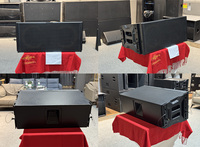 Haut-parleur professionnel à double ligne de 10 pouces, passif, aimant néodyme, coque en bois, impédance 8 ohms, 600 W, pour concerts en plein air