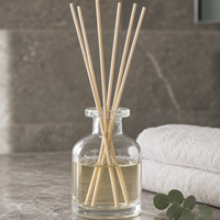 Vente en gros de diffuseurs d'arômes en verre personnalisés avec étiquette privée pour un usage domestique