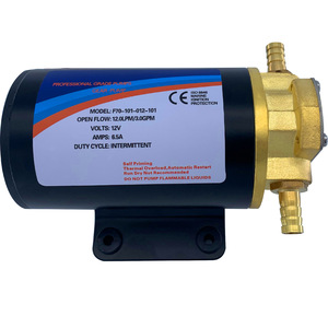 ISURE Marine Fuel <b>Pump</b> <b>12V</b> Stainless Steel For Boat RV Use - Product Image 5