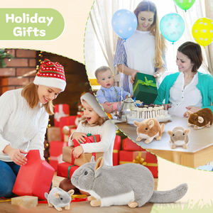 OEM/ODM 사용자 정의 울트라 소프트 어머니 아기 친칠라 봉제 장난감 귀여운 인형 동물 Kawaii 설치류 봉제 인형 파티 축제 선물 - Product Image 5