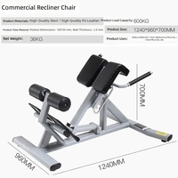Chaise romaine pliable professionnelle pour fitness, banc d'hyperextension, entraînement des muscles abdominaux et dorsaux