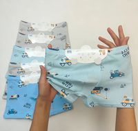 Promo Panas Celana Dalam Anak Laki-Laki Lucu Katun Motif Kartun Ramah Lingkungan Bernapas Grosir Pasokan Pabrik