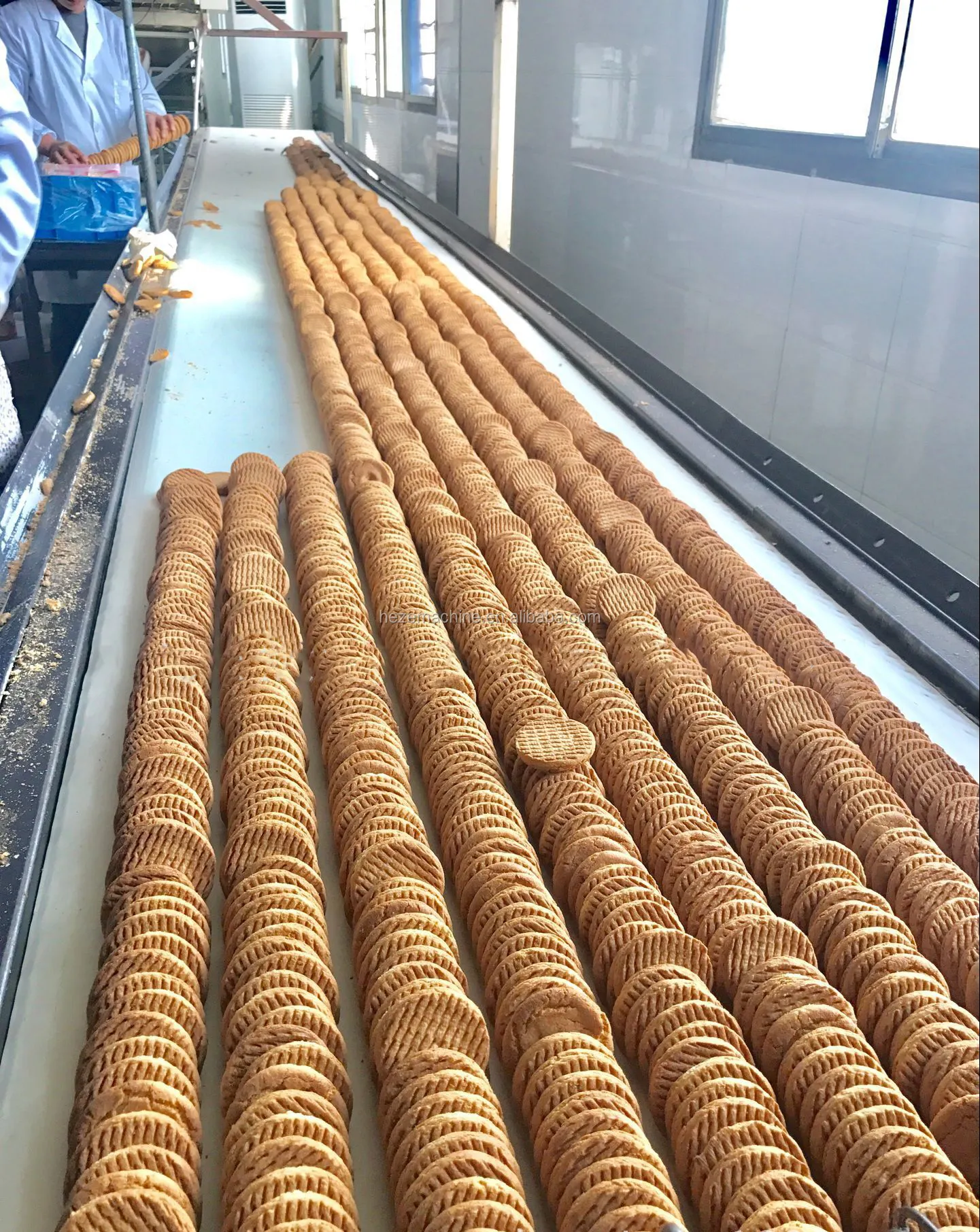 Chaîne de Production de biscuits/chaîne de Production de biscuits/petite Machine à biscuits, opération facile