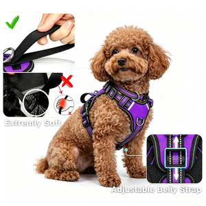 Conjunto de Arnés y Correa Reflectantes para Perros Pequeños y Grandes, para Entrenamiento al Aire Libre, Caminatas, Arnés Transpirable y Acolchado para el Pecho - Product Image 3