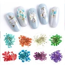 1 boîte de 24 fleurs séchées pour <span class=keywords><strong>nail</strong></span> <span class=keywords><strong>art</strong></span>, 12 couleurs, mini fleurs séchées, fleurs naturelles réelles, appliques 3D pour ongles, autocollants de décoration pour ongles - Product Image 5