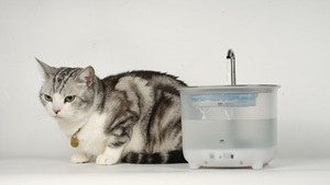 2025 nouvelle pompe de capacité 3L gratuite fontaine d'eau intelligente pour animaux de compagnie distributeur de débit d'eau de charge sans fil - Product Image 3