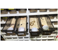 Bacs rectangulaires en plastique écologiques pour l'élevage de reptiles et système de rayonnages pour serpents de compagnie Terrarium/Vivarium