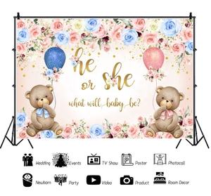 Neuer Bär Geschlecht enthüllte Kulisse Er oder SieNeugeborene Jungen oder Mädchen Baby-Bebei Kulisse Fotografie Hintergrund Fotokabine Requisiten - Product Image 3