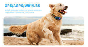 Qcool Find Pet: Dispositivo de Rastreo GPS para Perros con Luz Brillante, Múltiples Modos de Posicionamiento, Apagado Remoto y Etiqueta Blanca para Suministro al por Mayor - Product Image 3