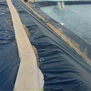 केन्या/टांजनिया/दक्षिण अफ्रीका/गंडा hdpe प्लास्टिक झिल्ली 0.5 मिमी 0.75 मिमी 1 मिमी जलरोधक 500 माइक्रोन बांध तालाब लाइनर - Product Image 5