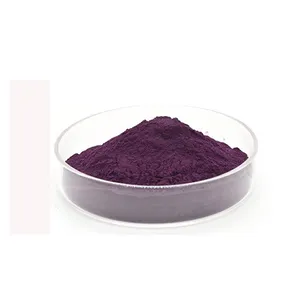 Chất lượng cao Trung Quốc Wolfberry chiết xuất bột đen Goji Berry Chiết Xuất 25% anthocyanin