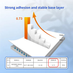 Enduit mural intérieur blanc en acrylique écologique, résistant à l'humidité et aux fissures, pour la décoration murale intérieure - Product Image 4