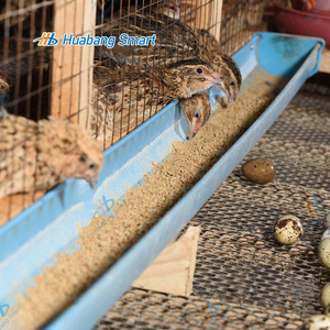 Đầy đủ thiết bị tự động chăn nuôi Coop Gà Thịt chim cút nuôi lớp chim cút lồng - Product Image 6