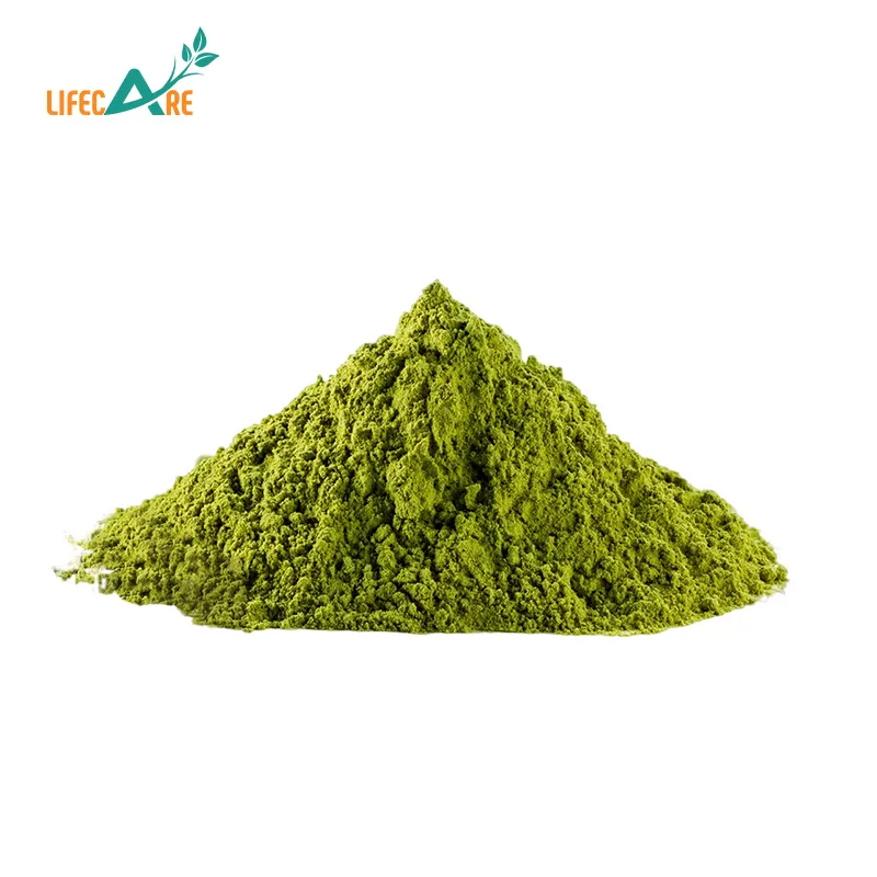 Atacado Pure Organic Barley Grass Suco Em Pó Alta Qualidade Green Barley Grass Powder