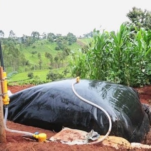 غشاء أرضي من البولي إيثيلين عالي الكثافة (HDPE) بسمك 1.5 مم، مقاوم للتآكل، لتخزين الغاز الحيوي في أكياس وخزانات الغاز الحيوي وأجهزة الهضم الحيوي، بيع مباشر من المصنع - Product Image 3