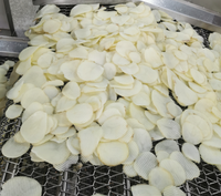 Ligne de production de frites de pommes de terre entièrement automatique commerciale Machine à frites avec CE