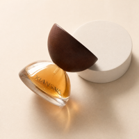 Vente flash - Flacon de parfum unique en forme de demi-cercle, flacon de parfum personnalisé, flacon de parfum en verre transparent avec couvercle en bois