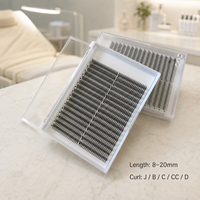 Extensions de cils Premium Anime Lashes Comic Spire Lashes Wispy Spike Premade Fans Easy Fan pour professionnels de salon