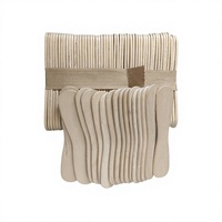 Bâtonnets de crème glacée jetables en bois de bouleau naturel, qualité alimentaire, flexibles, portables, écologiques, prix usine