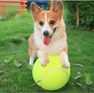 Fabrika fiyat özel logo çoklu renkler kauçuk köpek interaktif çiğnemek oyuncaklar eğitim için <span class=keywords><strong>pet</strong></span> tenis topu logo köpek topu - Product Image 2