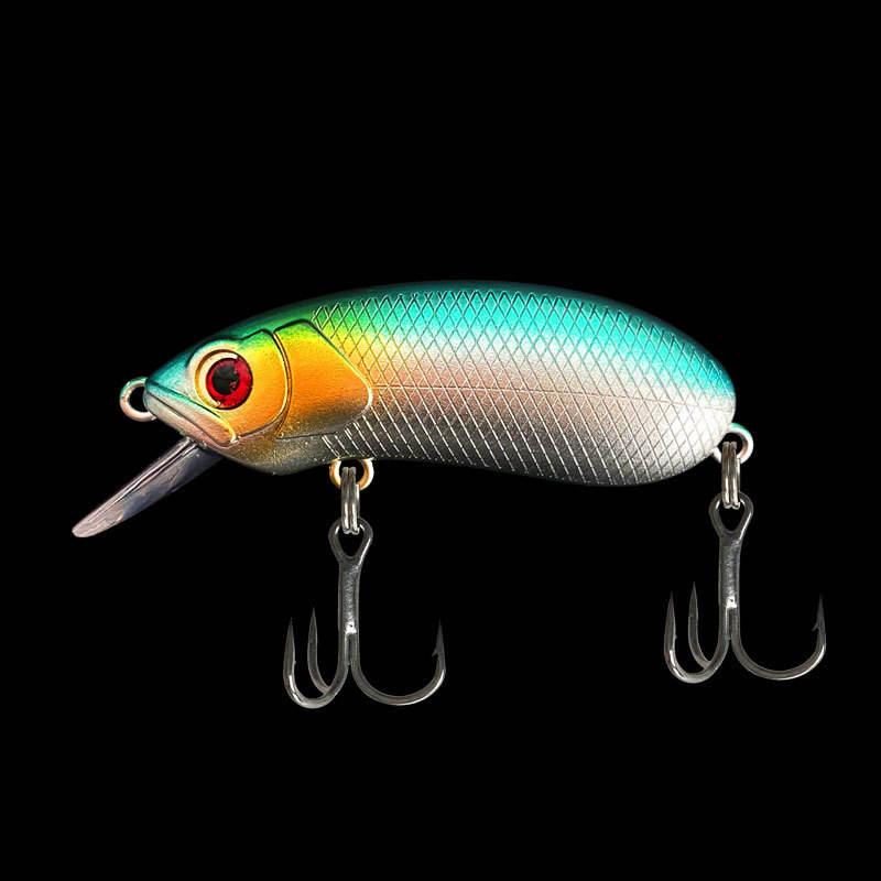 4 # corps vert et argent