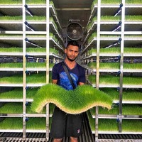 Étagères de culture multi-niveaux avec système d'irrigation automatique, éclairage LED pour la croissance, température et humidité constantes, conteneur hydroponique pour fourrage