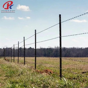 Fil barbelé haute sécurité en acier, fabriqué à partir de treillis métallique en fer - Product Image 6