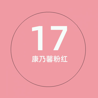 Oeillet rose 17