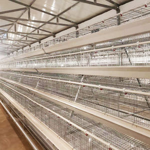 Équipement de volaille Automatisation de l'élevage de poulets Cage de poussins galvanisée à 4 niveaux Cage de batterie de couche de poulet pour 10000 oiseaux - Product Image 1
