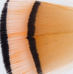 Vente en gros de plumes Offre Spéciale plumes de tête de faisan doré naturel pour la pêche à la mouche montage de mouches - Product Image 2