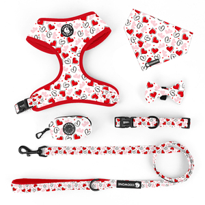Juego <span class=keywords><strong>Popular</strong></span> de Arnés para Perro con Diseño Personalizado, Collares y Correas para Mascotas, <span class=keywords><strong>Collar</strong></span> Bandana de Lujo para Perro y Portabolsas para Excrementos, Suministros para Mascotas - Product Image 3
